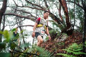 BIB: 
                            <button type="button" onclick="openModal(26297158)" class="btn btn-primary btn-sm float-right btn-popup" data-toggle="modal" data-target=".modal-high-quality">
                        <i class="fas fa-shopping-cart"></i> Add to Cart
                    </button>
                                            <button type="button" onclick="isThisMe(26297158, true)" class="btn btn-success btn-sm float-right btn-popup btn-isme hidden" data-toggle="tooltip" data-placement="bottom" title="นี่คือรูปของคุณใช่ไหม คลิกที่นี่เพื่อเอาเข้าอัลบั้ม">
                        <i class="fas fa-plus"></i> Add to album
                    </button>
                    <button type="button" onclick="isThisMe(26297158, false)" class="btn btn-warning btn-sm float-right btn-popup btn-isnotme hidden">
                        <i class="fas fa-ban"></i> Remove from album
                    </button>